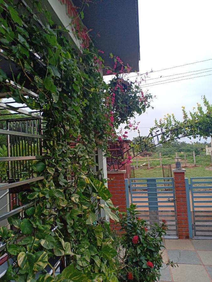Mango Tree Homestay Хампи Екстериор снимка