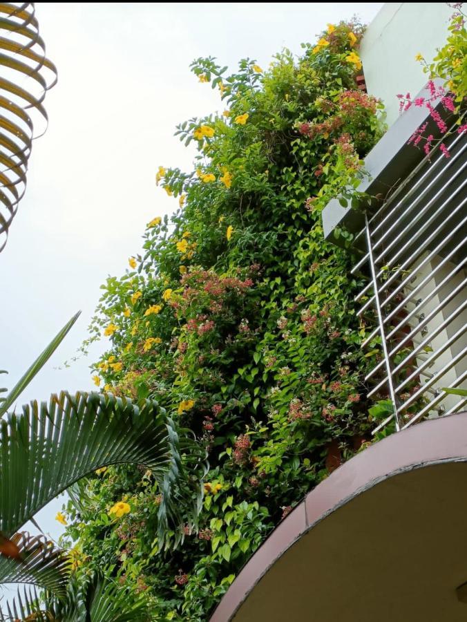 Mango Tree Homestay Хампи Екстериор снимка