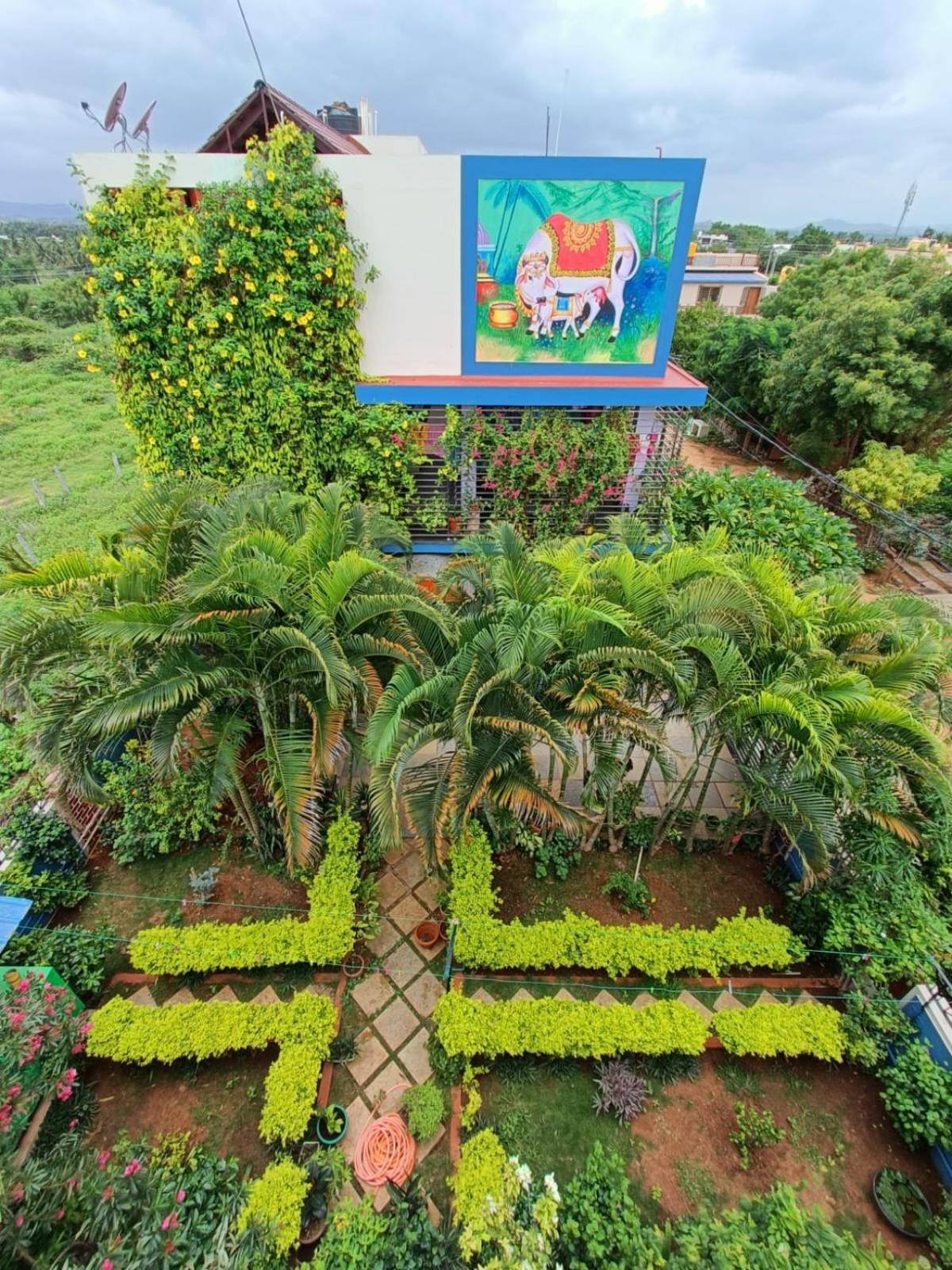 Mango Tree Homestay Хампи Екстериор снимка